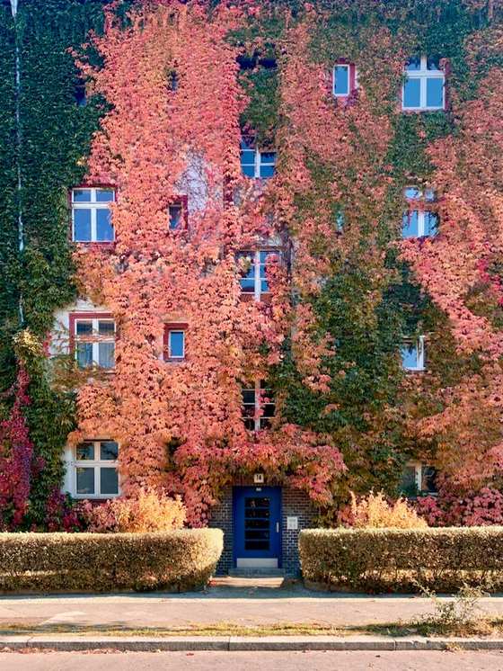 Historische Fassade eines Gebäudes in Berlin